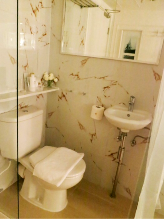 The toilet area