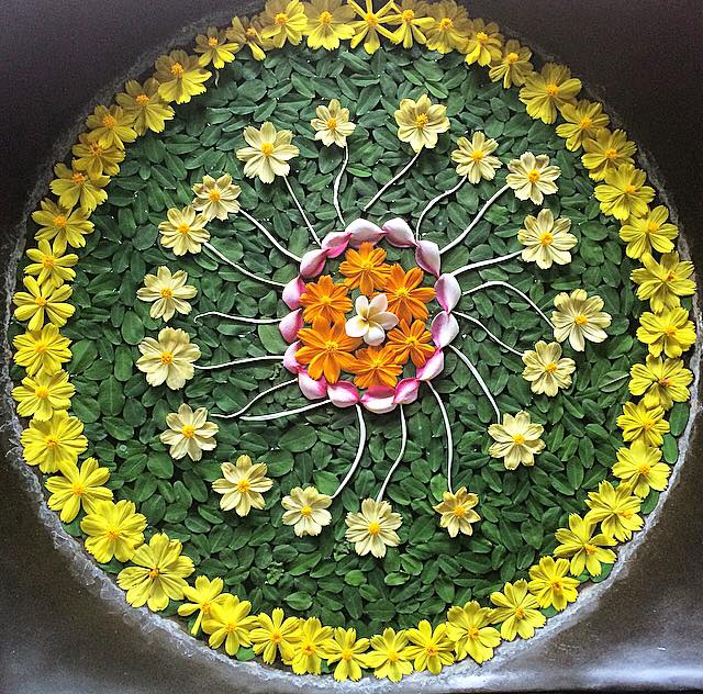 These gorgeous flowers at the Healing Sanctuary at The Farm encapsulate the feeling you get during and when leaving The Farm.