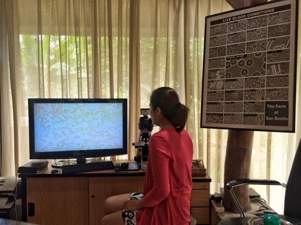 Dr. Michelle Carbonel views my blood on the screen from a dark field microscope, revealing that I have "almost perfect" blood, whoohoo!