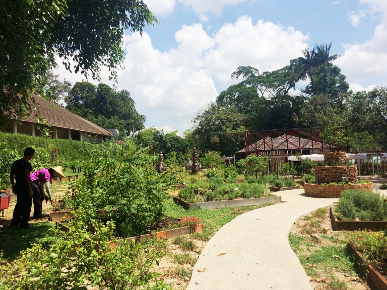 Open Farm Community 2- Singapore