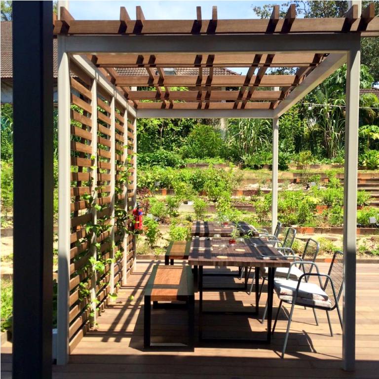 Open Farm Community- Singapore