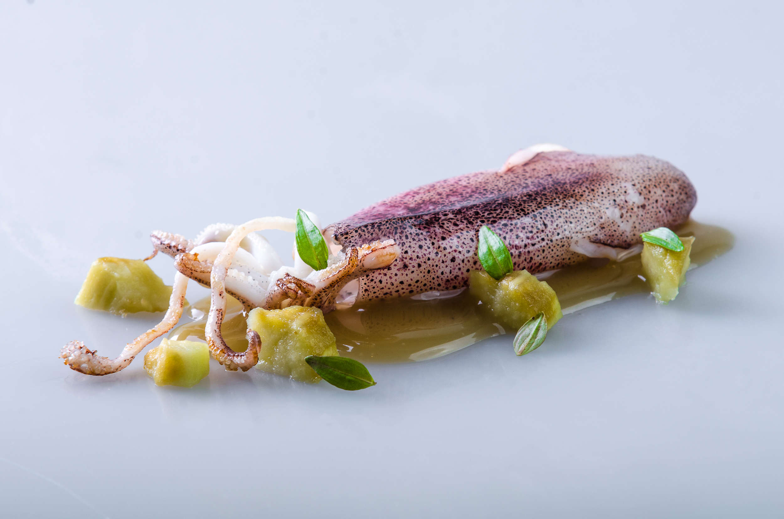 Aubergine: Squid and Eggplant by Chele Gonzalez (Gallery Vask)