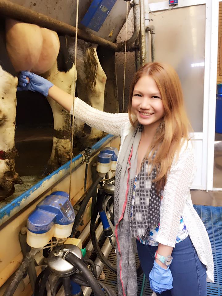 Ladies and gentlemen, forget the milkmaids and braids, this is *REALLY* how they milk cows today.