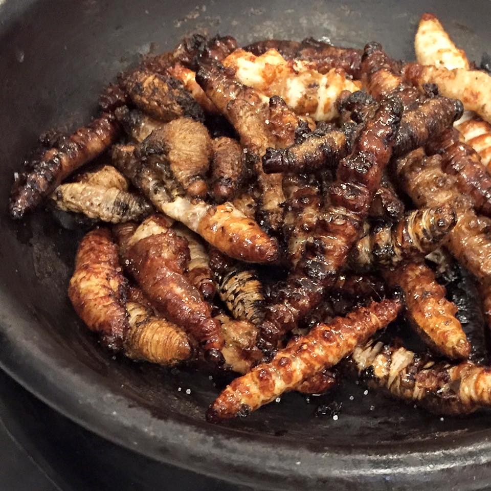 Delicious, deep fried maguey worms at Nico's. They're a great source of protein, too, you know!