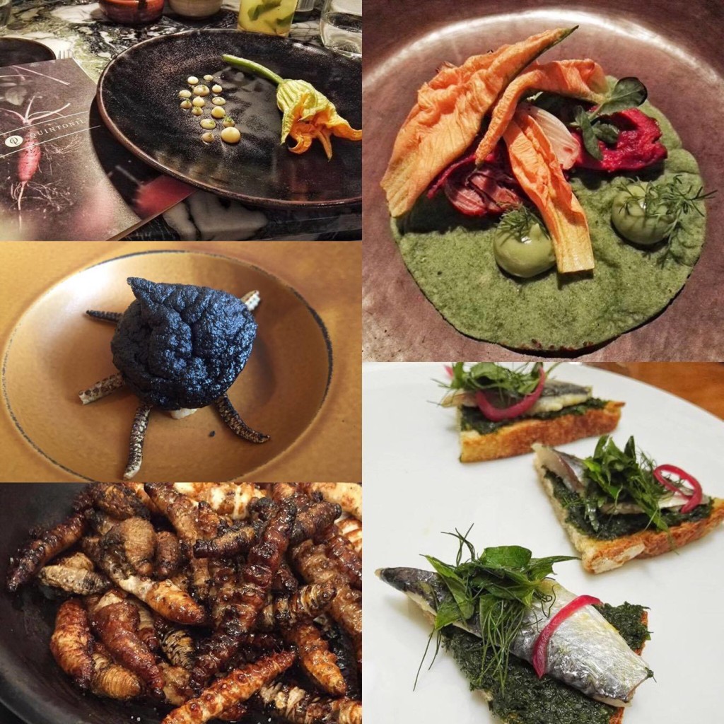 I got to eat in Mexico City's best restaurants: Quintonil, Biko, Nico's, Pujol and Rosetta-- and highly recommend them to anyone visiting the city!