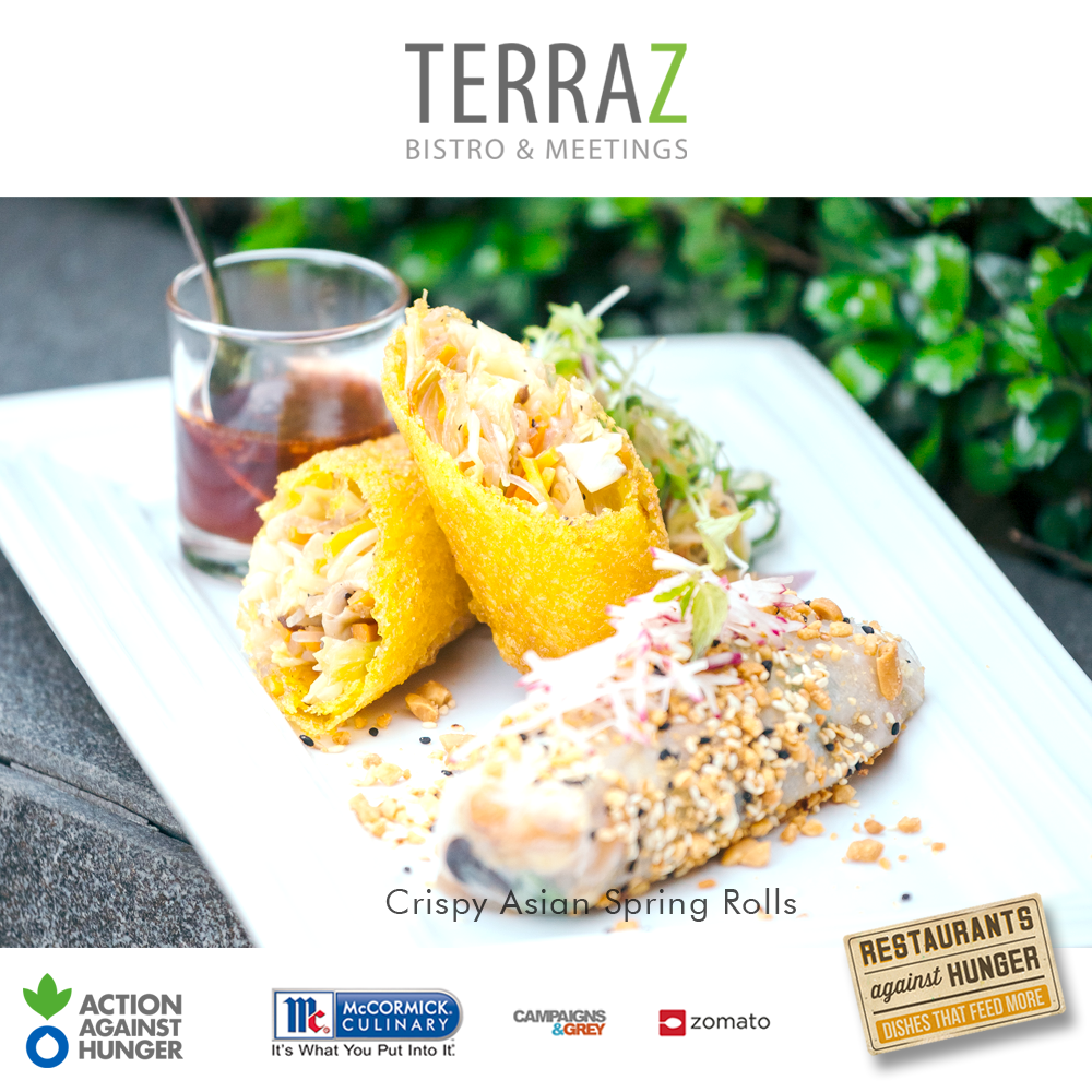 TERRAZ: Crispy Asian Spring Rolls