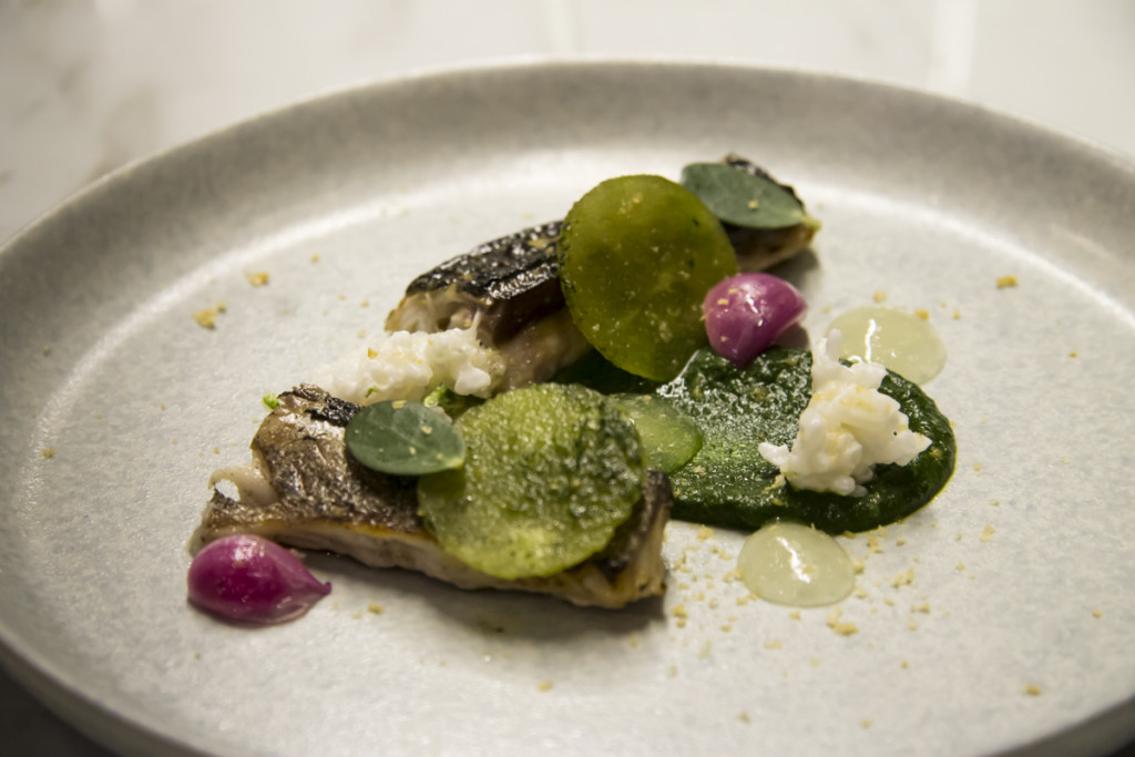 BBQ Mackerel with Green Curry, Coconut Rice, Peanut- Andrew Walsh- Cure