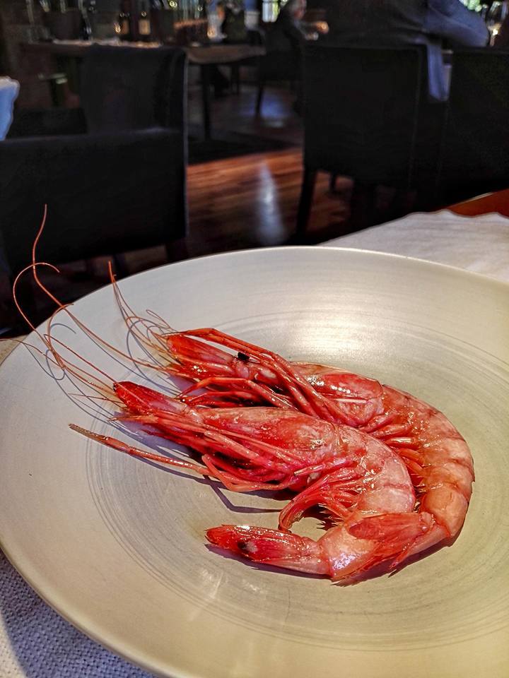 Prawns of Palamos (Photo by Cheryl Tiu)