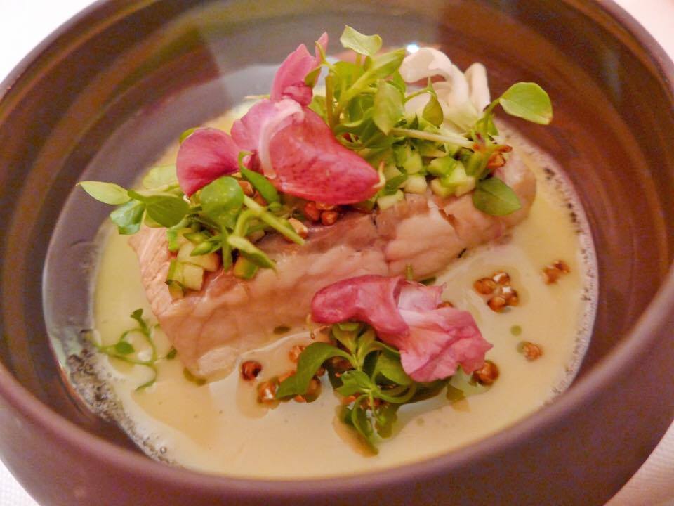 Trout from Hiša Franko's own pond (given by the Fishing Association of Tolmin), with whey and red currants (Photo by Cheryl Tiu)