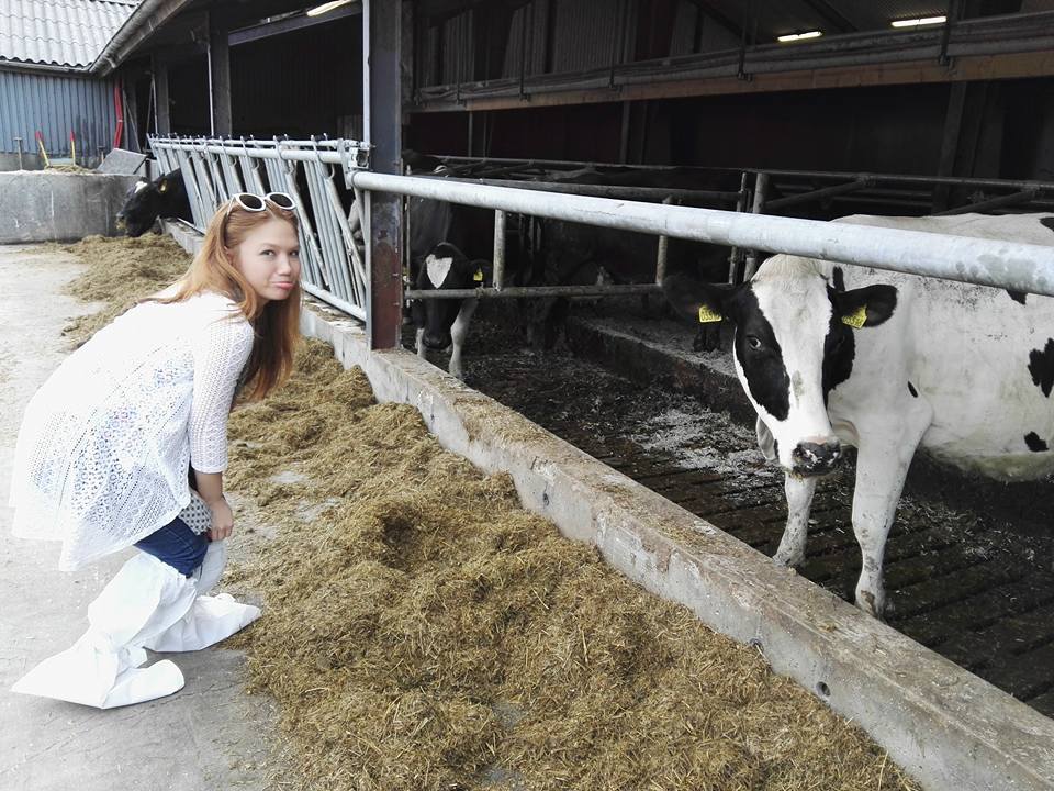 Getting To Know Arla Dairy in Denmark– Did You Know  The Company Is Owned By The Farmers?